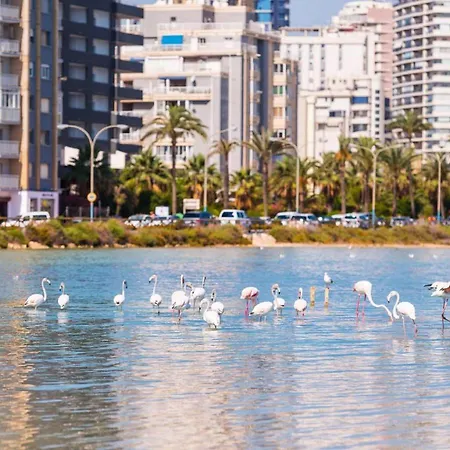 Apartamento Roquetes - Plusholidays * Кальпе
